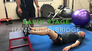 Hamstring Rehab Early Stage [upl. by Barry]