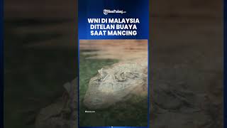 WNI di Malaysia Ditelan Hiduphidup oleh Buaya Ditembak 5 Kali untuk Ambil Jasad Korban [upl. by Kcirederf]