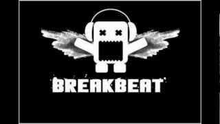 Break Beat skrillex remix anuschka TEMAZO [upl. by Auberbach]