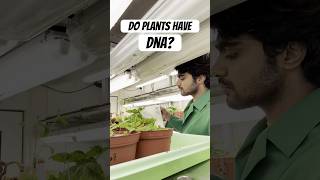 My experiment with Plant DNA 🧬  Tamil Scientist in Germany scienceexperiment tamilsciencechannel [upl. by Ki]