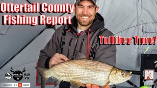 Ottertail County Fishing Report MidMarch [upl. by Freiman]