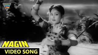 Man Dole Mera Tan Dole Video Song  Nagin 1954 Movie  Vyjayanthimala Pradeep  Eagle Mini [upl. by Enylrac]