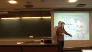 Neurobiiology 6 Lec  Classical Conditioning in Aplysia  Sensitization and Habituation 28 [upl. by Adamson]