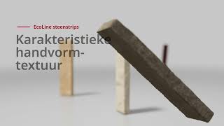 EcoLine steenstrips  Wienerberger Nederland [upl. by Tra]