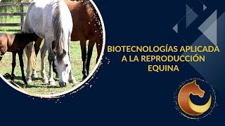 Biotecnología Aplicada a la Reproducción Equina [upl. by Sherburne]