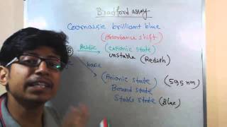 Bradford assay principle explanation [upl. by Nahshon]