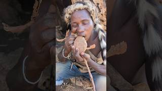 Its Fantastic 😍 Natural Roots food hadzabe tribe Favorite breakfast 😋 [upl. by Enelaj]