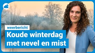 Weerbericht koude winterdag met nevel en mist [upl. by Htebazie]