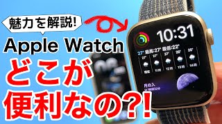 【欲しくなる】Apple Watchって使えるのどれだけ生活が変わるのか徹底解説します [upl. by Nylirehc]