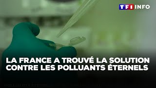 Polluants éternels  et si la France avait trouvé la solution  ｜TF1 INFO [upl. by Ban]