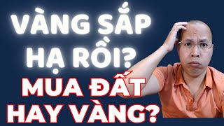 Ô tô sắp sửa rẻ như xe máy [upl. by Enyawud]