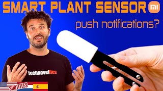 Never Kill Another Plant Flower Care Sensor amp App Review [upl. by Ellene]