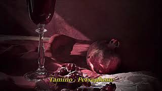 ❥ Tamino  Persephone 팝송 가사 추천한글해석자막 [upl. by Jaquenette206]