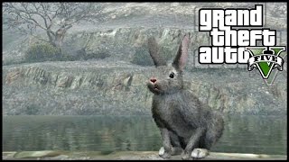 GTA 5 Next Gen  Peyote Plant Locations 04  Peyote Plants Guide 427 Peyote Plants [upl. by Aital613]