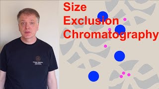 Size Exclusion Chromatography SEC [upl. by Kcirddes]