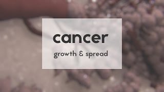 Cancer growth amp spread [upl. by Aronas]