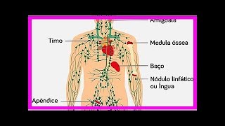 Symptome von Lymphkrebs [upl. by Jennings]