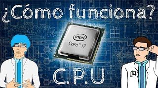 ¿CÓMO FUNCIONA UN CPU  Guía explicativa [upl. by Sivra]