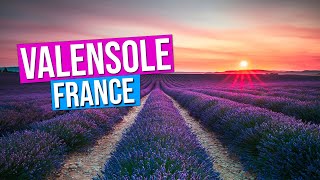 VALENSOLE lavender fields of Provence France Sunset on the Valensole Plateau in Provence [upl. by Yllib586]