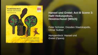 Hansel und Gretel Act III Scene 3 Halt Hokuspokus Hexenschuss Witch [upl. by Hepsoj]