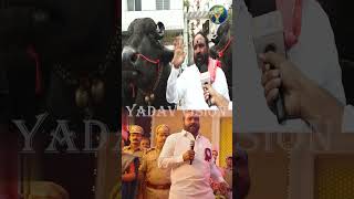 Baahubali Dunna Laddu Yadav in Skanda Movie  స్కంద మూవీ లో బాహుబలి దున్న లడ్డు యాదవ్  sadar [upl. by Nitsruk]