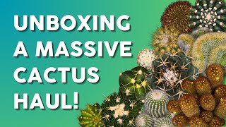 A Collectors Dream Unboxing Over 40 Unique Cacti 🌵 [upl. by Anaidni838]