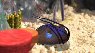 Moroccan Trilobite Hollardops mesocristata animation [upl. by Enytsuj211]