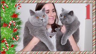 2 SCHATTEN VAN KATTEN 🎄  VLOGMAS 1  2018 [upl. by Neyuh548]