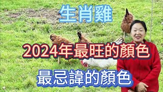 生肖雞！2024【龍年】最旺的顏色是什麼？屬雞人在2024年最忌諱什麼顏色呢？用對顏色！2024一整年都有好運勢！讓自己錢財大旺！順順利利！生肖 顏色 運勢 [upl. by Akerboom]