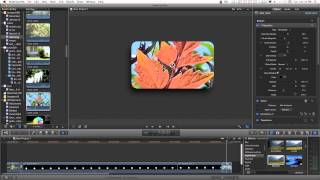 Final Cut Pro X FCPX Effect Magnifier [upl. by Eberto]