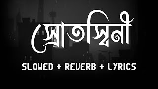 Encore  Srotoshini  Slowed  Reverb  Lyrics  স্রোতস্বিনী  Zarif Vibes [upl. by Nihi620]