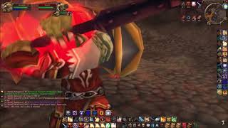 My Favorite Vanilla PvP Clips  Commentary 2 Druid Paladin Shaman [upl. by Olympie]