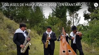 LOS ASES DE HUAYUCACHI 2019  EN MANTARO [upl. by Ramunni]