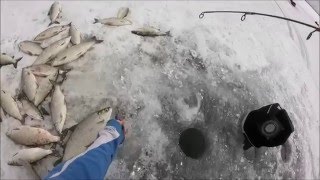 Leech Lake ice fishing trip HD [upl. by Celeste]