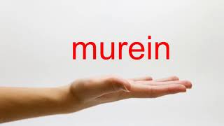 How to Pronounce murein  American English [upl. by Essilrahc]