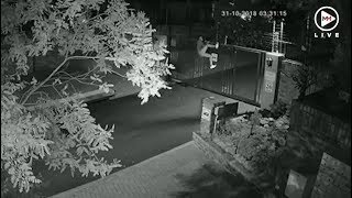 Not even electric fencing could stop this thief from breaking in [upl. by Hillel]