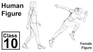 Female Figure Side Movements step by step Class  10 [upl. by Noland]