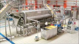 TRIOWIN  Citrus concentrate juice processing LineCitrus juice Production Line in china [upl. by Savina]