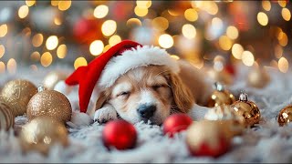 Relaxing Calming Music For Dogs 🐶 Healing Anti Anxiety Music for Dogs 🐾 Puppy Deep Sleep [upl. by Gustav]