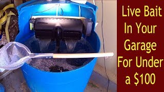 How to build a bait tank for your garage DIY [upl. by Raquela]