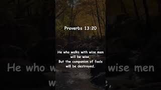 Proverbs 1320  dailybibleverse religion motivational gospel daily shorts [upl. by Airdnahc]