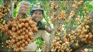 Wow burmese grape with salt spicy see Eat mouth watering Very sour [upl. by Aniri]