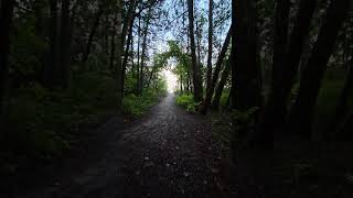 Harrisville State Park Michigan What an awesome spot campervan harrisvillestatepark [upl. by Ahsenyt]