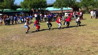 2018 Tampa NPHC Greek Games Stroll Off Delta Sigma Theta [upl. by Drannek]