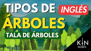 Tipos de Árboles  INGLÉS DE TALA DE ÁRBOLES CON PRONUNCIACIÓN Y TRADUCCIÓN [upl. by Eehsar767]