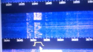 WebSDR  SP3PGX [upl. by Aciret876]