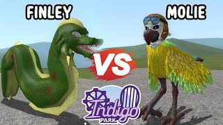 FINLEY vs MOLIE INDIGO PARK MONSTERS BATTLE [upl. by Linskey]