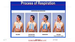 First Aid Unit 2 Basic life support procedure CPR Afaan Oromootiin [upl. by Werra]