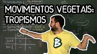 Movimentos Vegetais Tropismos  Fisio Vegetal  Aula 30 Botânica Prof Guilherme [upl. by Katina]