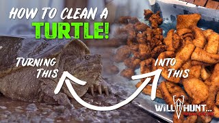 How to Clean a Turtle for Meat [upl. by Idelia]